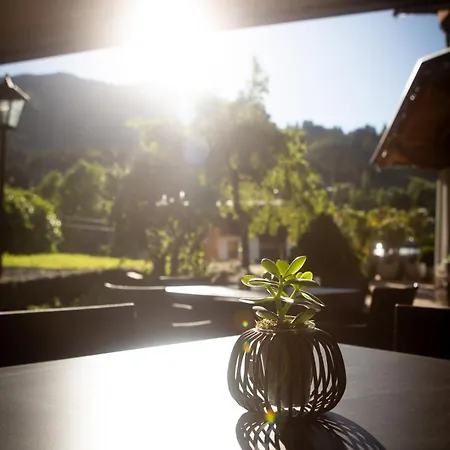 Elisabeth, 4 Sterne Superior