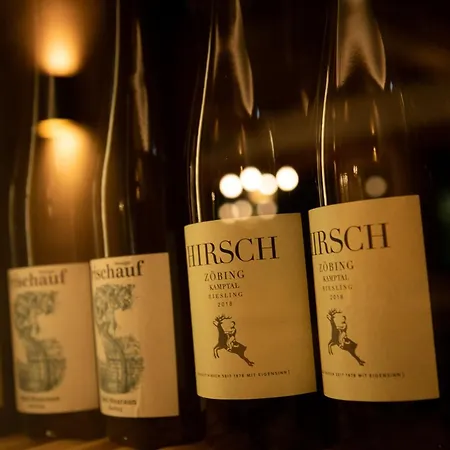 Elisabeth, 4 Sterne Superior Hotel Kirchberg in Tirol