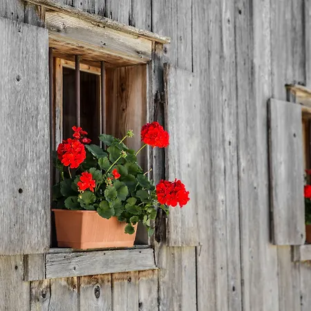 إليزابيث، 4 ستيرن سوبيريور 4*