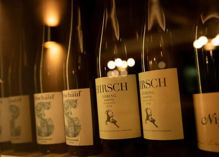 Elisabeth, 4 Sterne Superior Hotel Kirchberg in Tirol