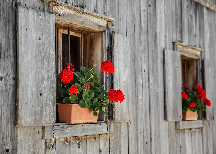 Elisabeth, 4 Sterne Superior 4*